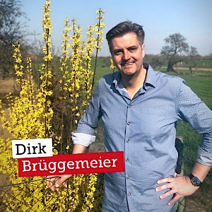 Dirk Brüggemeier